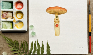 Polanshek of the Hills