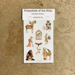 Load image into Gallery viewer, Woodland Garden Sticker Sheet