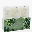 Load image into Gallery viewer, Soap & Paper Co Roland Pine Soy Candle Votive Gift Set