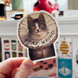 Load image into Gallery viewer, Stay Weird Kitty Sticker