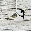 Load image into Gallery viewer, Chickadee Ceramic Ornament