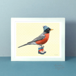 Load image into Gallery viewer, American Robin Art Print - 8x10 Unframed