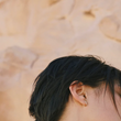 Load image into Gallery viewer, Tigre Earrings Gold Vermeil