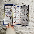 Load image into Gallery viewer, Sibley's Backyard Birds of the Northeast Folding Guide