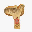 Load image into Gallery viewer, Mineral Mushroom: Ruby Print 5x7
