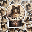 Load image into Gallery viewer, Stay Weird Kitty Sticker