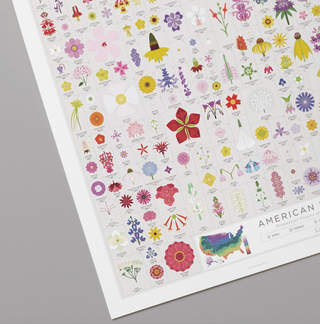 American Flowers - 16x20 PICKUP ONLY