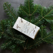 Load image into Gallery viewer, Appalachian Trail Bar Soap