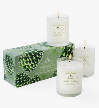 Soap & Paper Co Roland Pine Soy Candle Votive Gift Set