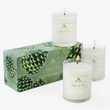 Load image into Gallery viewer, Soap & Paper Co Roland Pine Soy Candle Votive Gift Set