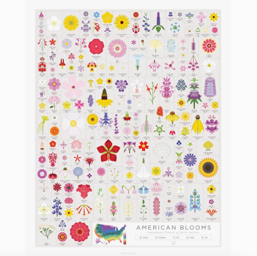 American Flowers - 16x20 PICKUP ONLY