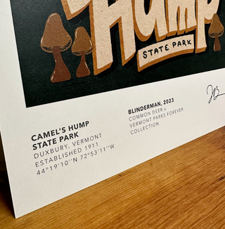 Vermont Parks Collection Print: Camel's Hump State Park, Blinderman 12x16