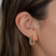 Load image into Gallery viewer, Golden Hoop Twisted Earrings