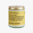 Load image into Gallery viewer, Slow Living Candle - Standard Jar