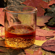 Load image into Gallery viewer, Adirondack Glass Tumbler