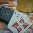 Load image into Gallery viewer, National Parks Playing Cards