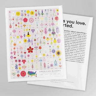 American Flowers - 16x20 PICKUP ONLY