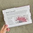 Load image into Gallery viewer, DIY Embroidery Kit 5" - Bee Balm