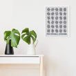 Load image into Gallery viewer, Pro Football Stadiums Scratch-Off Chart - 12x16