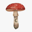 Load image into Gallery viewer, Mineral Mushroom: Ruby Print 5x7