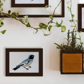 Swallow: Bird Study Paint-By-Numbers Kit