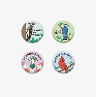 Backyard Birds Magnet Set
