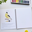 Load image into Gallery viewer, Birds Watercolors Workbook