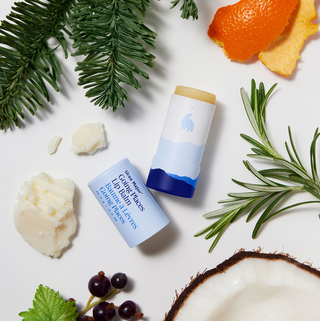 Ursa Major Going Places Lip Balm