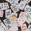 Load image into Gallery viewer, Bird Nerd Playing Cards