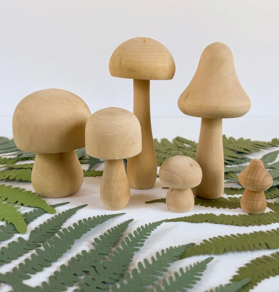 DIY Painted Mushroom Kit