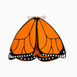 Load image into Gallery viewer, Monarch Butterfly Wings
