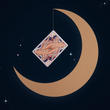 Load image into Gallery viewer, Lady Moon Playing Cards