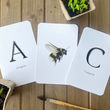 Load image into Gallery viewer, Garden Alphabet Learning Flashcards