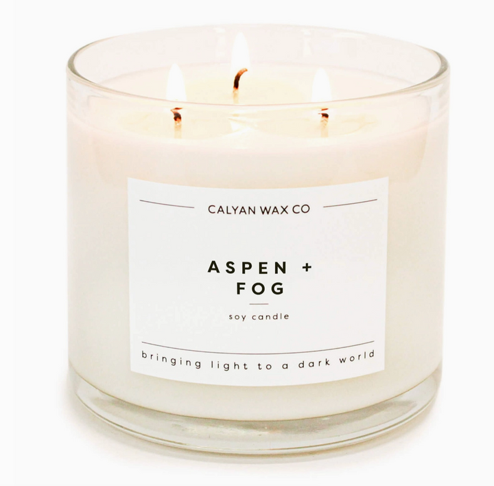 Aspen + Fog 3 Wick Candle - 19.6oz