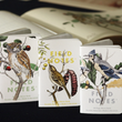 Load image into Gallery viewer, Field Notes Birds and Trees of North America