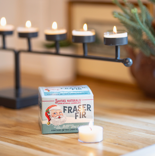 Fraser Fir Tea Light - Set of 12