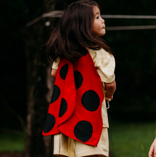 Ladybug Costume Wings