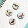 Load image into Gallery viewer, Fashionable Birds - North American Bird Magnets