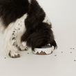 Load image into Gallery viewer, Mountain Bowl - White on Brown Clay