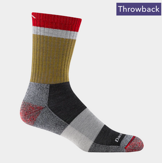 Men's Merino Wool Heady Stripe Socks - 1924 Ash