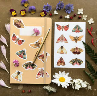 Moth Sticker Sheet