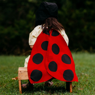 Ladybug Costume Wings