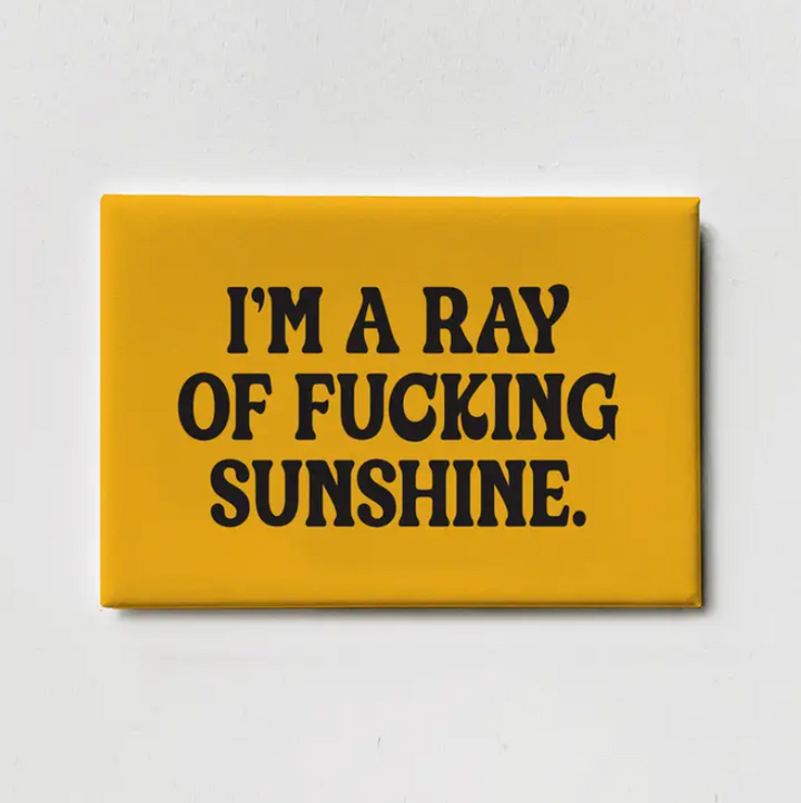 I'm A Ray of Fucking Sunshine Magnet