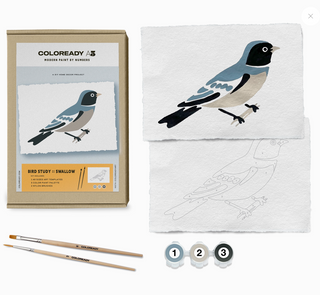 Swallow: Bird Study Paint-By-Numbers Kit