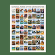 Load image into Gallery viewer, National Parks of the US Poster 16 x 20
