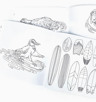 Wild Life Camp Colouring Book
