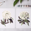 Load image into Gallery viewer, Paint-By-Numbers Kit - Peony Blossoms