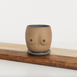 Load image into Gallery viewer, Venus Planter Set