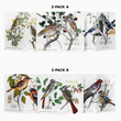 Load image into Gallery viewer, Field Notes Birds and Trees of North America
