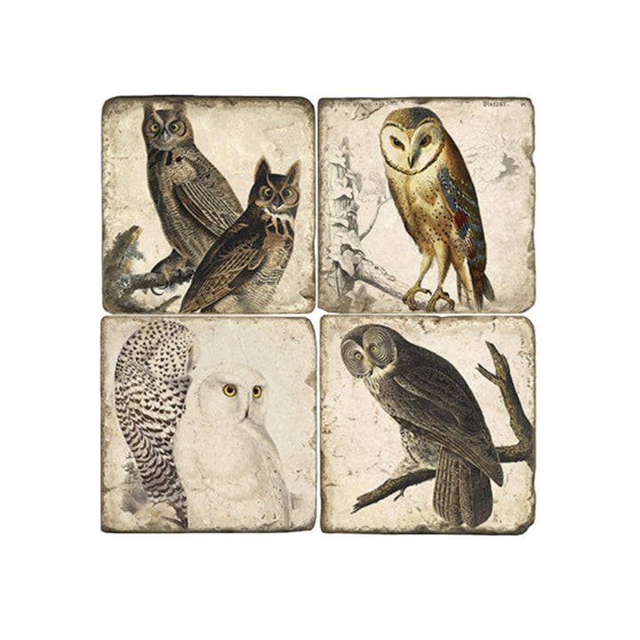 Vintage Owls Marble Coasters - Set of 4